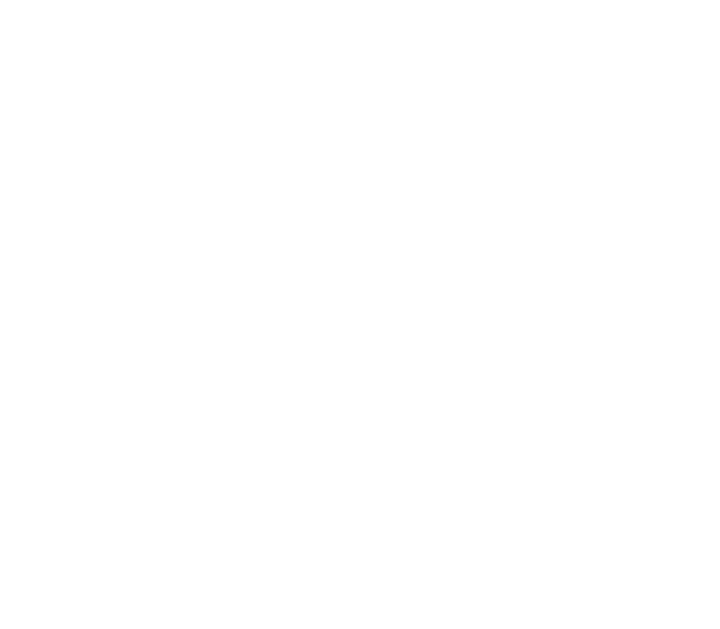 Zocal